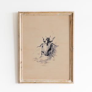 May include: A framed print featuring a detailed black and white illustration of a ladybug. The ladybug is depicted with its wings spread, set against a tan background. The frame is a light, natural wood color, adding a rustic touch to the artwork.