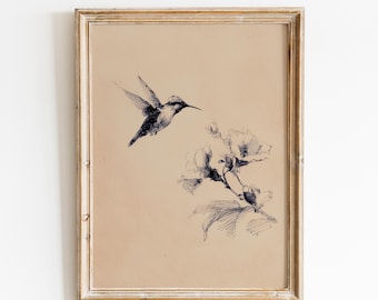 Vintage Hummingbird Sketch Print | Botanical Bird Sketch | Ink Drawing Hummingbird | Cottage Hummingbird | Elegant Hummingbird And Flower