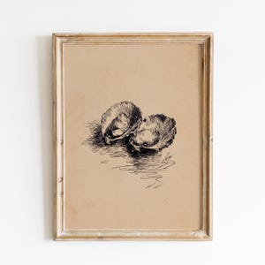 May include: A framed vintage print showing a pen and ink illustration of two open oyster shells. The artwork is in black ink on a tan background, with a distressed, gold-toned frame.