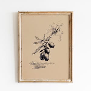 May include: A framed print with a pen and ink illustration of an olive branch with olives and leaves. The artwork is in black and white, set against a tan background, and framed in a light-coloured wood frame.