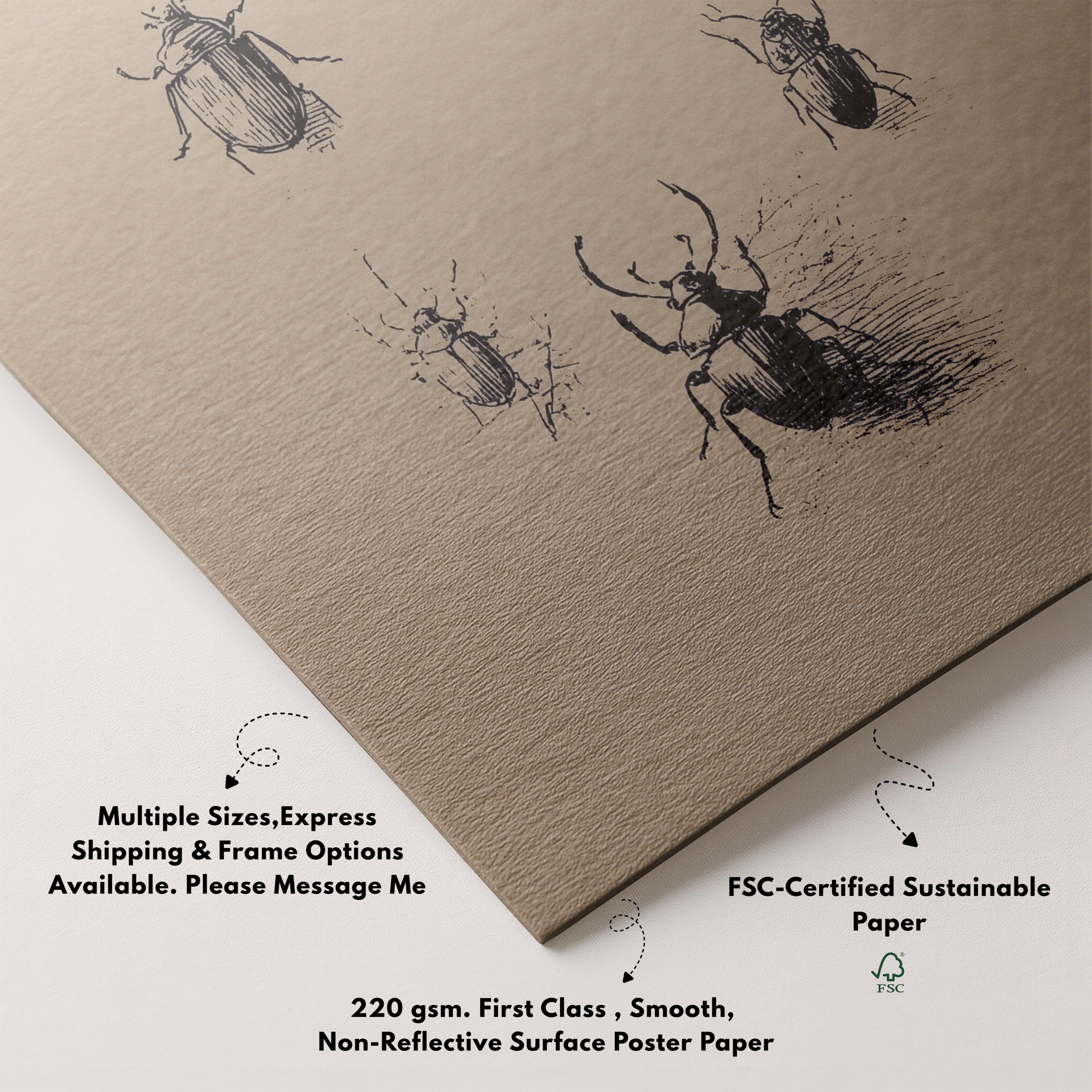 Rustic Insect Outline Vintage Beetle Sketch Print | Rustic Insect Wall Art | Antique ...