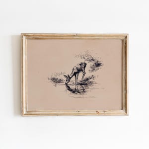 May include: A framed vintage print with a pen and ink drawing of a deer drinking water. The artwork is set against a neutral background and framed in a gold-toned wooden frame, creating a classic aesthetic. The image evokes a sense of nostalgia.