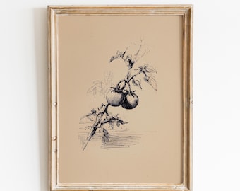 Vintage tomatskiss | Rustik väggkonst för trädgårdskök | Köksinredning i lantlig stil | Handritad trädgårdskonst | Elegant rustik matillustration