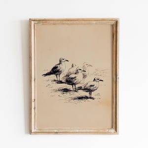May include: Framed vintage print featuring a pen and ink drawing of five seagulls. The artwork is in black and white, set against a tan background, and encased in a gold-toned wooden frame. The seagulls are depicted in a detailed, realistic style.