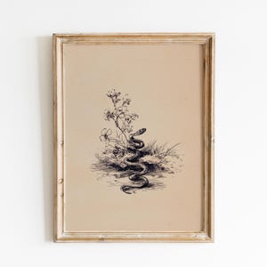 Pode incluir: Uma impress&atilde;o emoldurada em estilo vintage com uma ilustra&ccedil;&atilde;o detalhada em preto e branco de uma cobra enrolada em meio a flores e grama. A obra de arte est&aacute; sobre um fundo bege, dentro de uma moldura de madeira dourada desgastada.