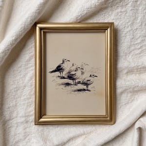 May include: A framed print featuring a pen and ink illustration of five seagulls. The artwork is in a gold-colored frame. The birds are depicted in a detailed, realistic style, standing on a sandy surface. The background is a neutral beige color.