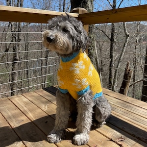 Daisy Dog Sweater | Made to Order | Spring Vibes Dog Flower Coat