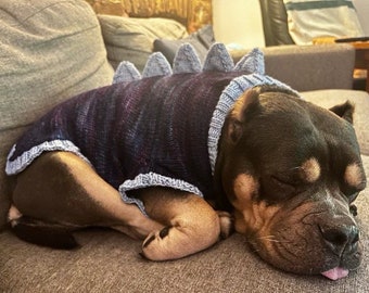 CUSTOM Dinosaur Dog Sweater | custom dog costume