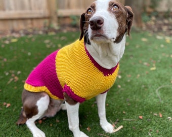 Colorblock Dog Sweater - Gold/Berry | Made to Order