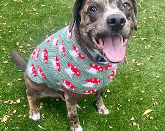 May include: A happy dog wearing a green sweater with a pattern of red and white mushrooms. The dog has brown and white fur and is sitting on green grass. The dog is looking at the camera with its tongue out.