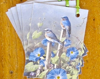 Blue Bird Gift Tags, Thank You, Wedding, Birthday, Hang Tags Lot of 6