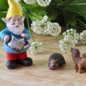 May include: A miniature garden scene with a blue and red gnome holding a silver watering can, a brown hedgehog, and a brown squirrel.