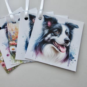 May include: A set of five gift tags featuring a watercolor painting of a black and white border collie dog. The tags are square and have a hole punched in the top corner for ribbon or string.