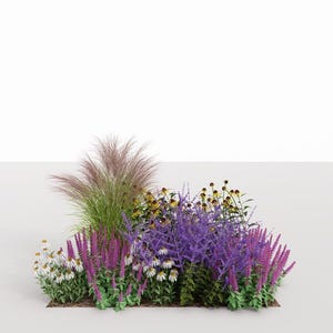 Conception de jardin respectueuse de l&#39;environnement - plan de plantation n° 132 pour le soleil et la mi-ombre