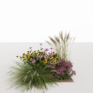 Eco Friendly Garden design - planting plan No. 136 for Sunny and partial Shade
