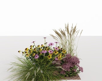 Eco Friendly Garden design - planting plan No. 136 for Sunny and partial Shade