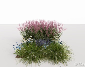 Eco Friendly Garden border planting plan No. 124 for Sunny and partial Shade
