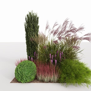 Eco Friendly Garden design - planting plan No. 182 for Sunny and partial Shade