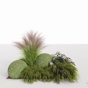 Aménagement de jardin respectueux de l&#39;environnement - plan de plantation n° 134 pour une ombre partielle