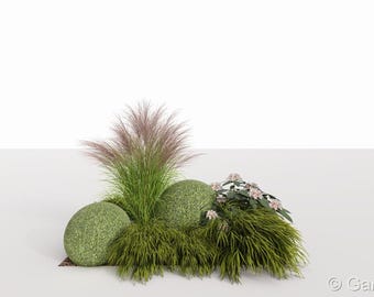 Diseño de jardín ecológico - plan de plantación n.º 134 para sombra parcial