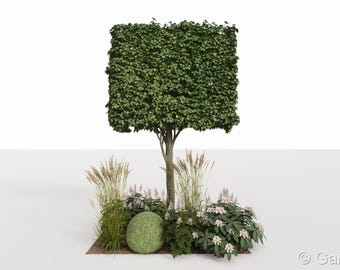 Diseño de jardín ecológico - plan de plantación n.º 131 para sombra parcial