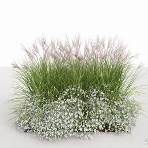 Eco Friendly Garden border planting plan No. 126 for Sunny and partial Shade