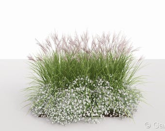 Eco Friendly Garden border planting plan No. 126 for Sunny and partial Shade