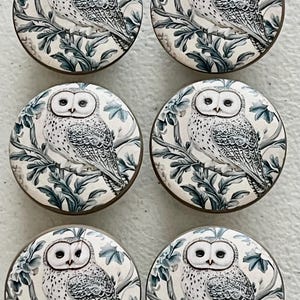 May include: Six round cabinet knobs featuring a detailed illustration of a white owl perched on a branch with blue-green foliage. The knobs have a cream-colored background and a bronze-colored edge, suitable for furniture or decor.