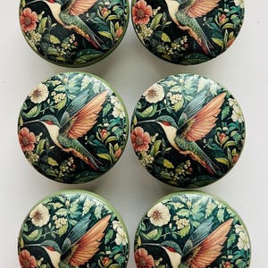 May include: Six round cabinet knobs with a hummingbird and floral design. The knobs feature a dark green background with a detailed illustration of a hummingbird with orange and green wings, surrounded by flowers and foliage.