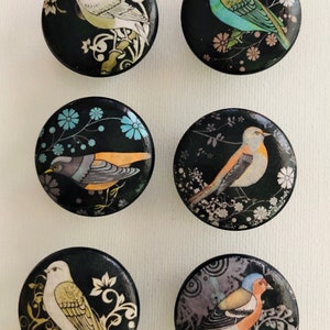 May include: Six round black buttons with colorful bird illustrations on a white background. Each button features a different bird species with intricate floral designs.