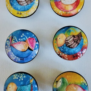 May include: Six round wooden knobs with colorful bird illustrations. Each knob features a different bird with a blue, yellow, green, or pink body and brown wings. The birds are set against a blue, yellow, or green background with white floral accents.