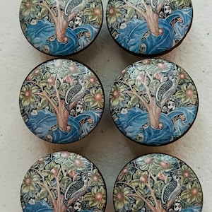 May include: Six round cabinet knobs with a detailed, colorful design. Each knob features a tree with a bird, surrounded by foliage and fruit, set against a blue and green background. The knobs have a dark brown edge.