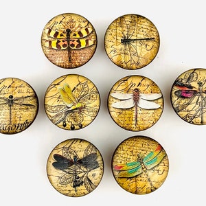 May include: Set of eight decorative round knobs with a vintage design featuring various dragonfly illustrations. The knobs are beige with brown accents and feature a variety of dragonfly colors, including yellow, white, pink, and blue.