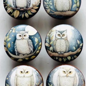 May include: Six round wooden knobs with painted images of owls perched on branches in front of a full moon and starry night sky. The owls are white, gray, and brown with yellow eyes.