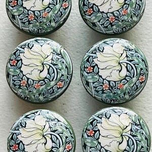 May include: Six round cabinet knobs arranged in two columns. Each knob features a detailed botanical illustration with a large white flower, green leaves, and small orange blossoms set against a dark background with a glossy finish.