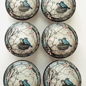 May include: Set of six round cabinet knobs with a vintage-style bird and nest design. Each knob features a pair of blue birds nestled in a nest, surrounded by branches and pink blossoms, set against a soft blue background.