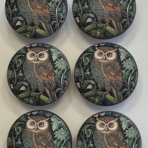 May include: Six round decorative cabinet knobs featuring an owl illustration. The owl is depicted with brown and gray feathers, perched on a branch, surrounded by green foliage against a dark background.
