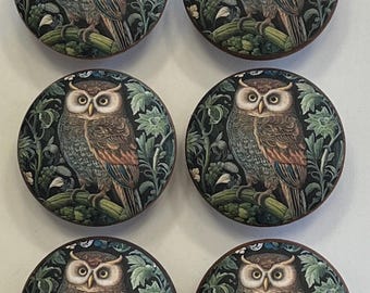 Handcrafted Willam Morris Owl(2) 1-1/2" Decorative Round Wood Round Knobs