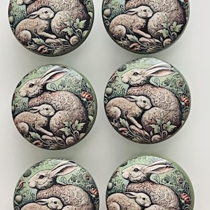 May include: A set of six round cabinet knobs, each featuring a detailed illustration of a large rabbit and a smaller rabbit nestled together in a garden setting with green foliage and small red flowers, finished with a smooth, glossy surface.