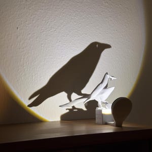 Könnte beinhalten: Eine weiße Vogelskulptur wird von einem Scheinwerfer beleuchtet, wodurch ein großer Krähenschatten an die Wand geworfen wird. Die Skulptur steht auf einem Holzregal über einem Bücherregal. Eine Lampe ist oben links zu sehen.