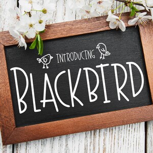 Blackbird | Handwritten Commercial Use Font