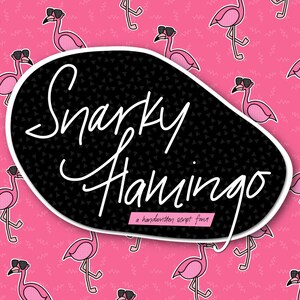 Snarky Flamingo | Handwritten Commercial Use Font