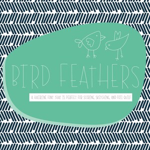 鳥の羽のヘアライン｜レーザースコアリング、ホイルクイル、スケッチフォント