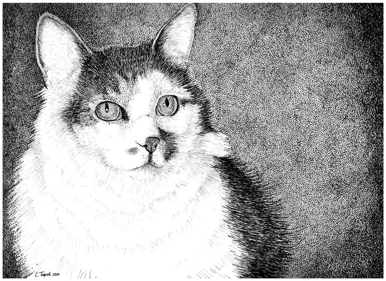 Jazzie Note Card Package image 1