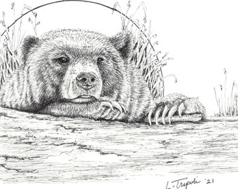 Bearly Awake - Note Card Package