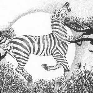 Serengeti Dreams - Paquet de cartes