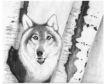 Wolf - 11 x 14 Matted Print
