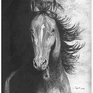 Assortiment de chevaux 2 - Paquet de cartes