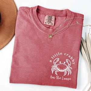May include: A dusty rose Comfort Colors t-shirt with the phrase "a little crabby On The Loose" and a white crab graphic. A silver necklace with a small pendant is draped across the shirt. The shirt is folded on a white surface.