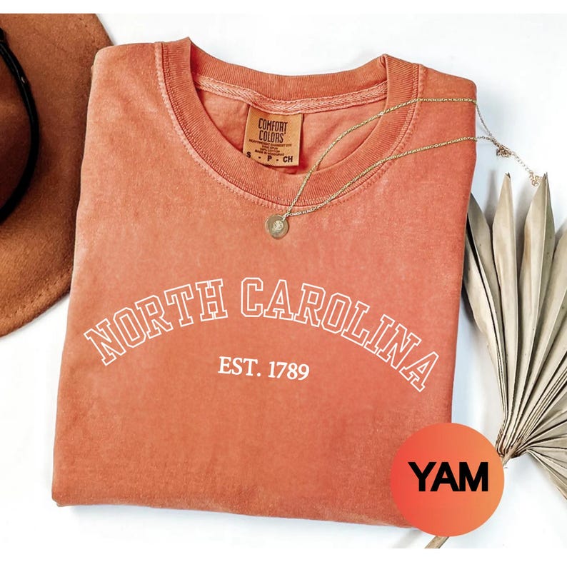 Comfort Colors North Carolina Vintage Retro State Shirt, Southern Style Trendy Graphic Tee image 7